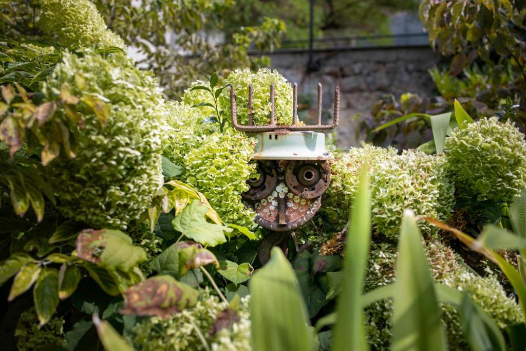 Hôtel Regent's Garden - Astotel - Resim 22