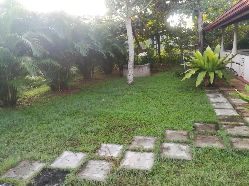 Zahrada ubytování Anura Home Stay
