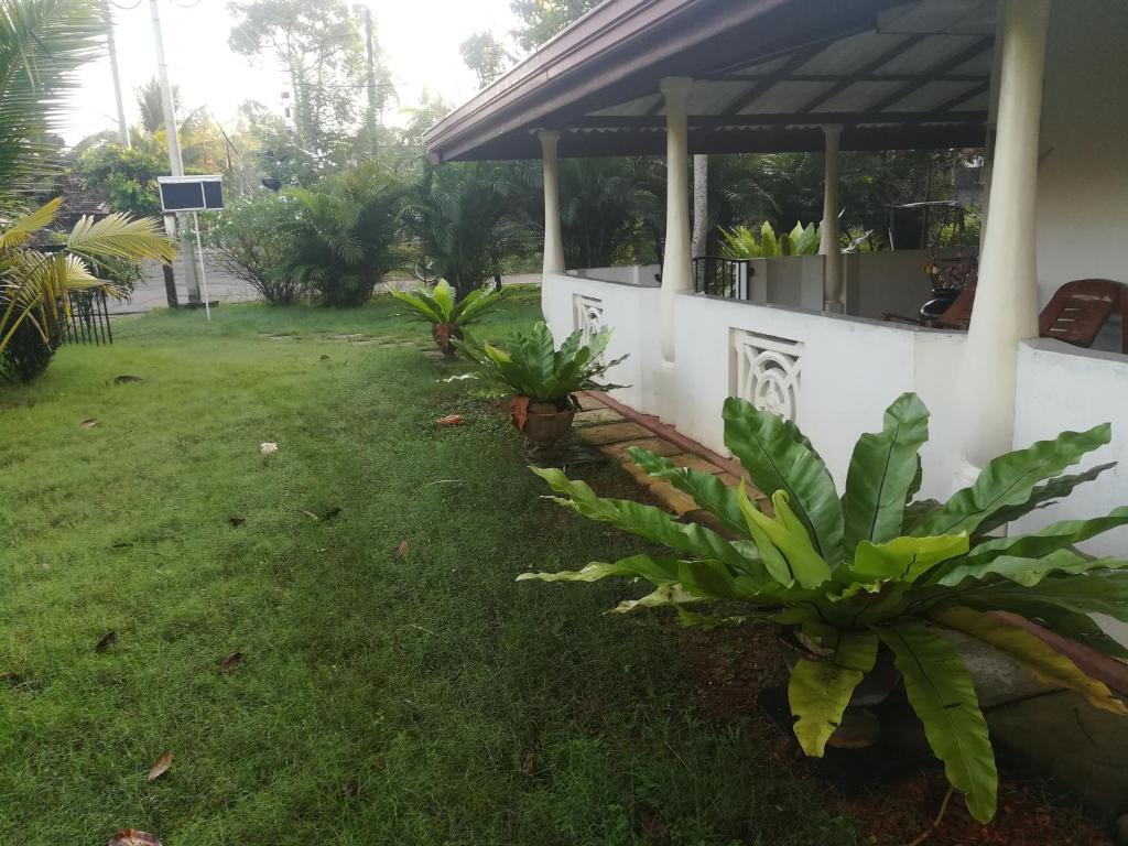Zahrada ubytování Anura Home Stay