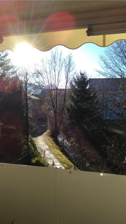 Příroda nedaleko apartmánu