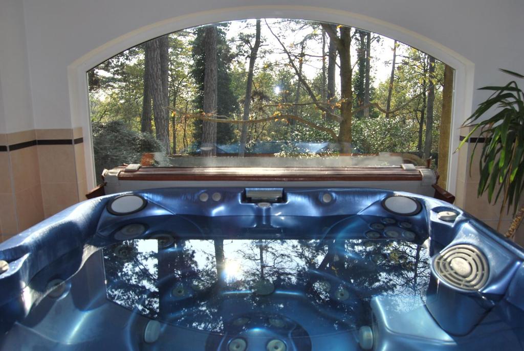 a blue bath tub in front of a window at Private Wellness Apartment in Pécs