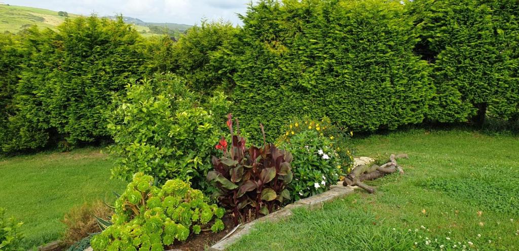 Bungalows Elma, Suances – Precios actualizados 2022