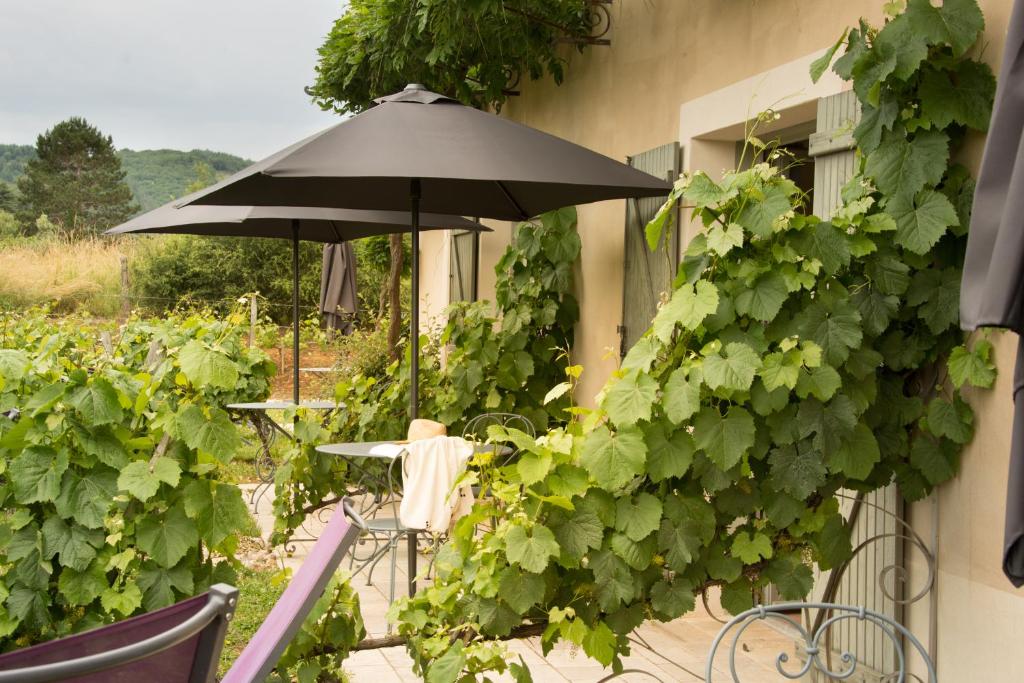 Zahrada ubytování Hôtel-Spa Le Saint Cirq
