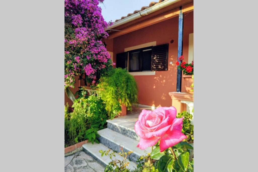 A garden outside Rose Garden