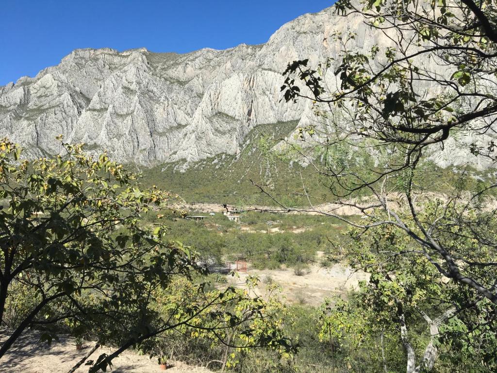 Cabañas Huasteca Mágica