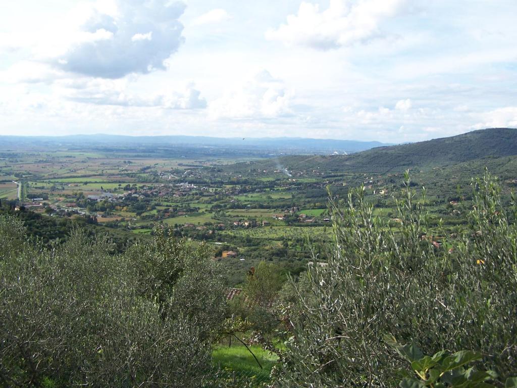 Príroda v okolí vily