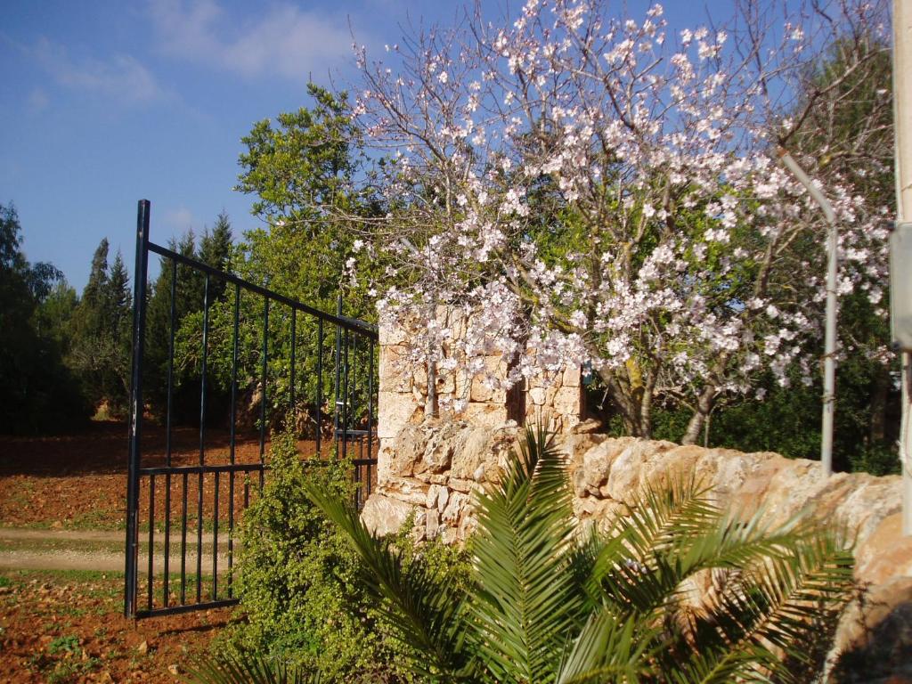 A garden outside carpe Diem