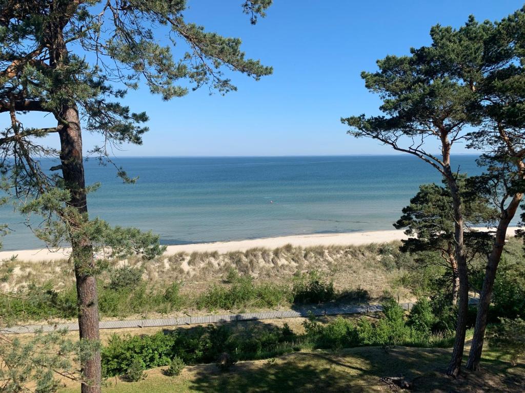 Blick auf den Strand durch die Bäume in der Unterkunft Ferienwohnung Strandmaus, Ferienanlage "Blaumuschel" in Lubmin