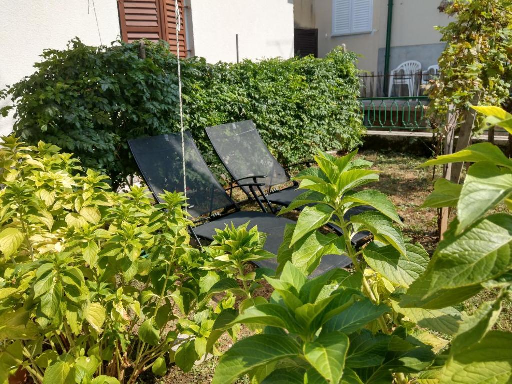 eine Bank inmitten eines Gartens in der Unterkunft Holiday House Palma in Dobrinj