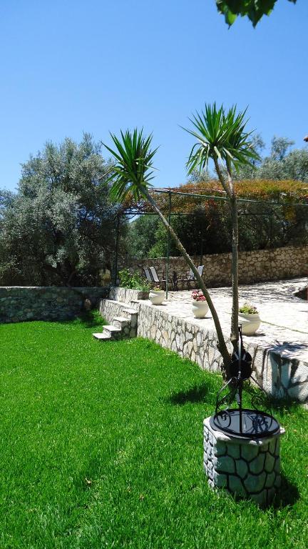 a palm tree in a stone planter in a yard at House of Garden in Dhráganon