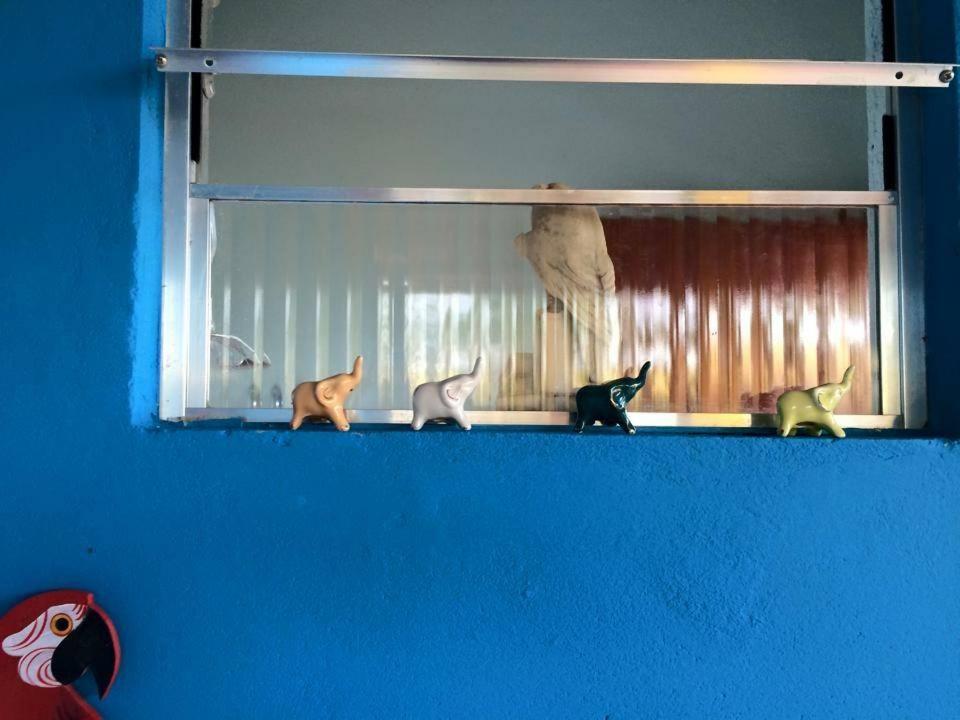  RANCHO ALEGRE - CONCEIÇÃO DO MATO DENTRO