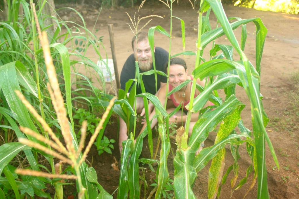 Hosté ubytování HOMESTAY CAMPING ANURADHAPURA