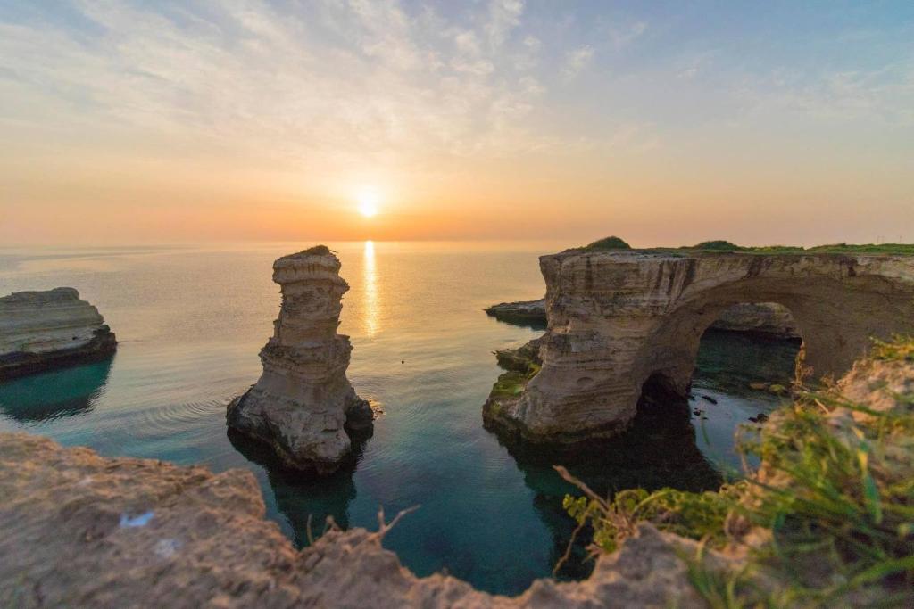 Táj Show holiday homes közelében