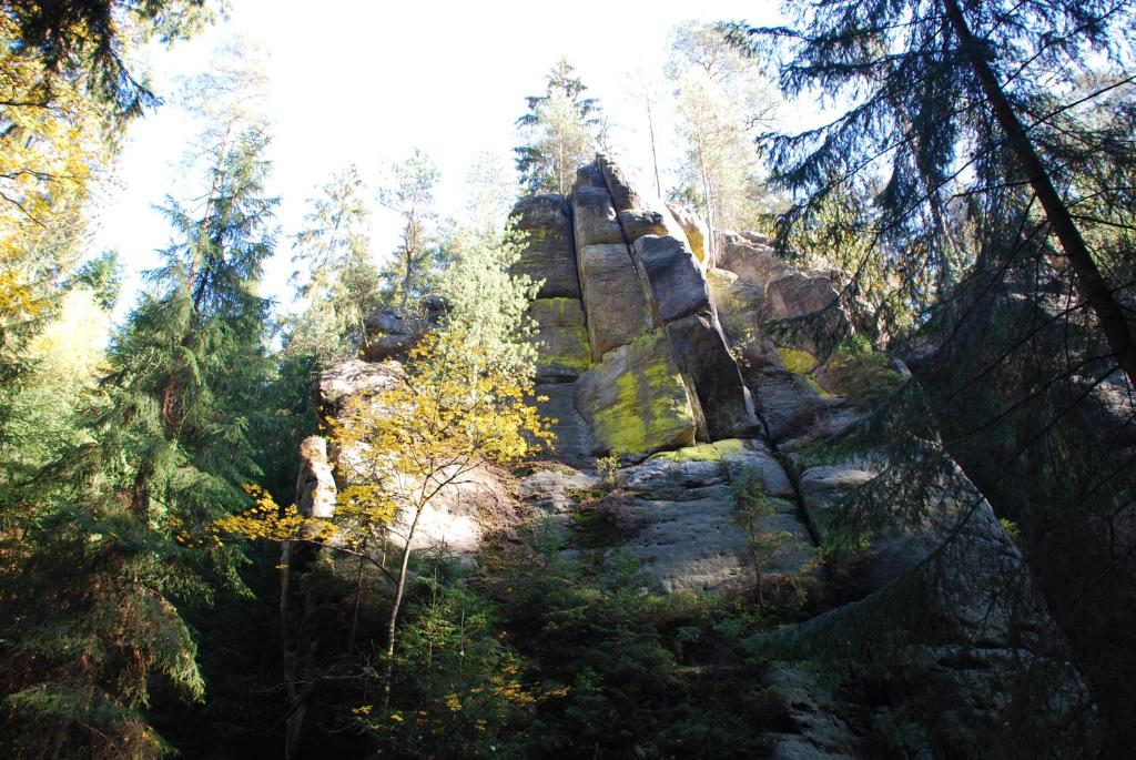 een grote rotsformatie midden in een bos bij Ferienoase Hinterhermsdorf in Hinterhermsdorf