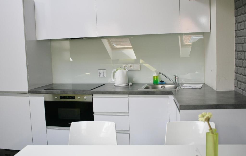 Kuchyň nebo kuchyňský kout v ubytování ADC Design Apartmány