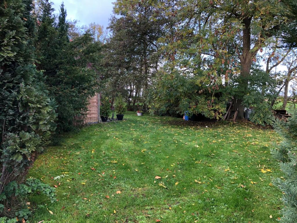 Un patio con césped verde, árboles y arbustos. en Bluhm OG, en Wangerland