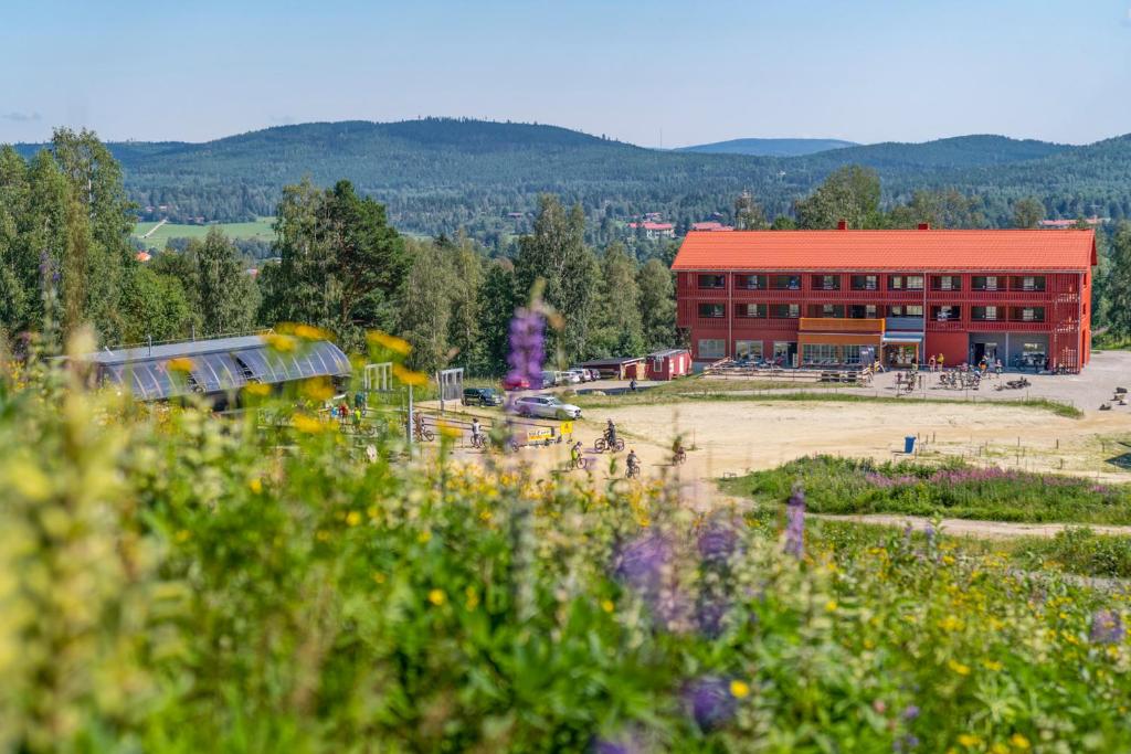 Příroda nedaleko hotelu
