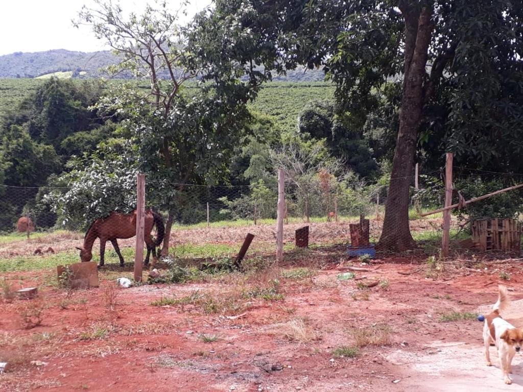  casa de campo