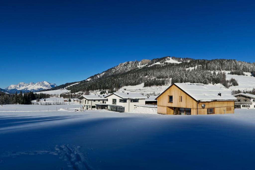Appartement Hochsitz v zime