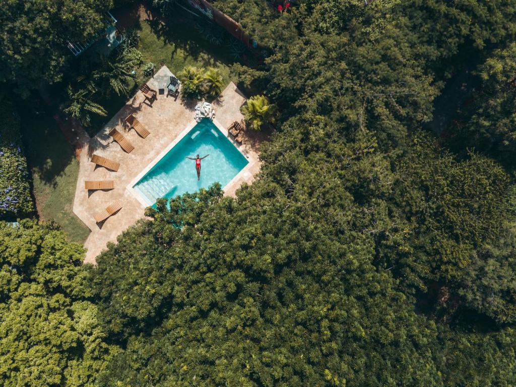 Bazén v ubytování Mondi Lodge nebo v jeho okolí