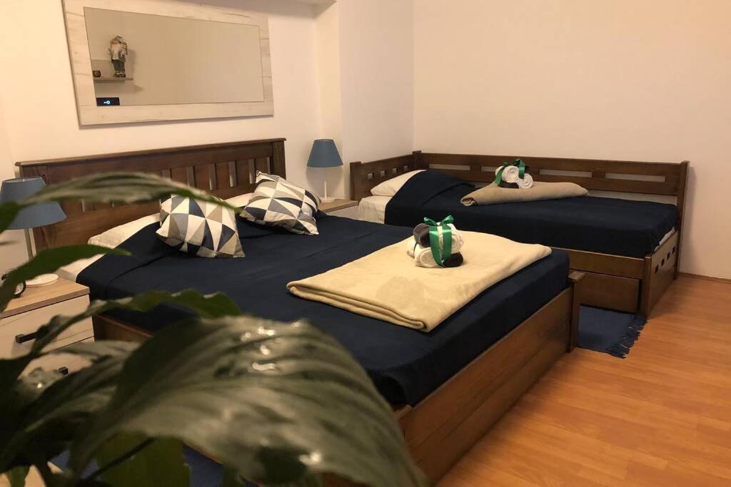duas camas individuais num quarto com uma planta em Apartments Balkanska City Center em Belgrado
