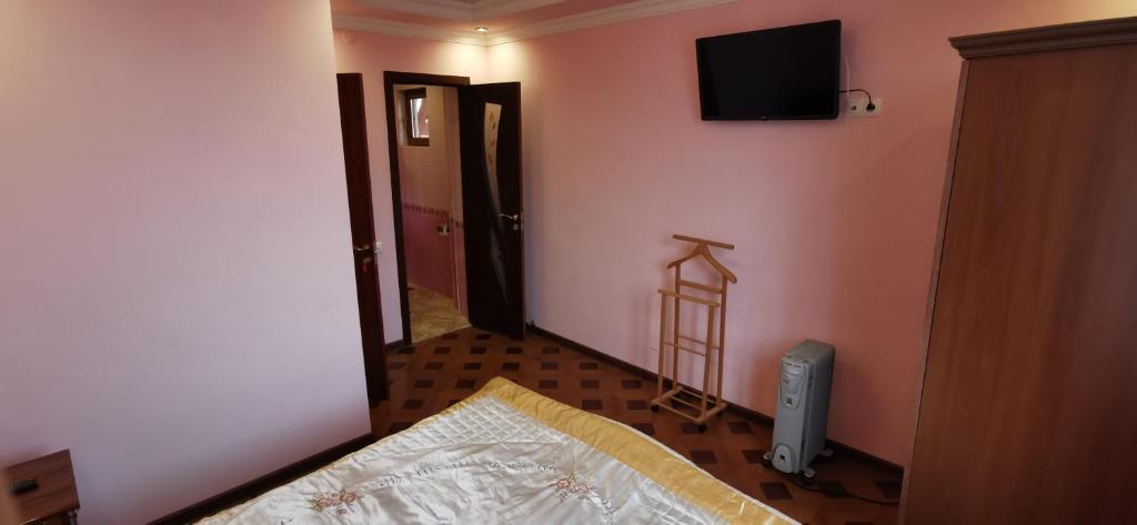 TV a/nebo společenská místnost v ubytování Hotel Halidzor