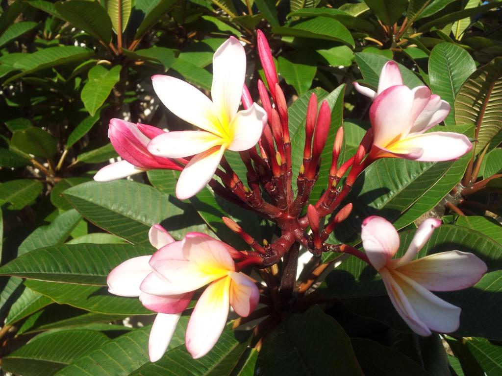 Kerikeri Court Motel - Resim 20