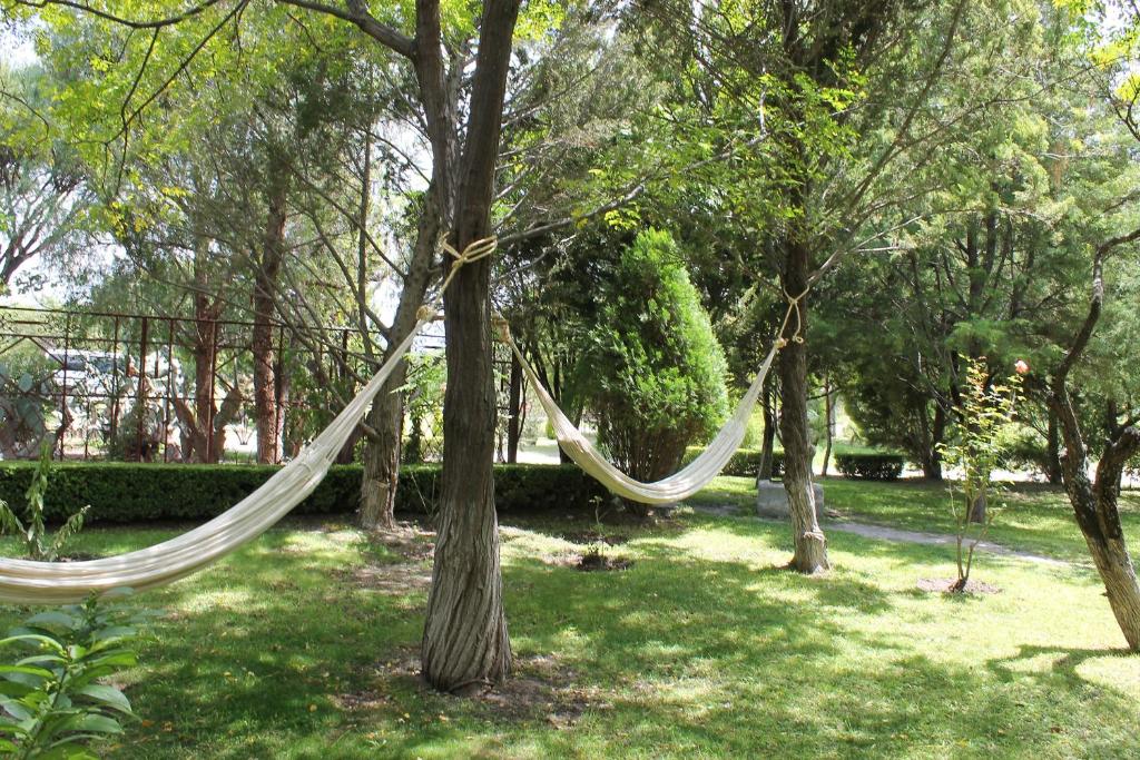 Zahrada ubytování Atotonilco Hotel & Club