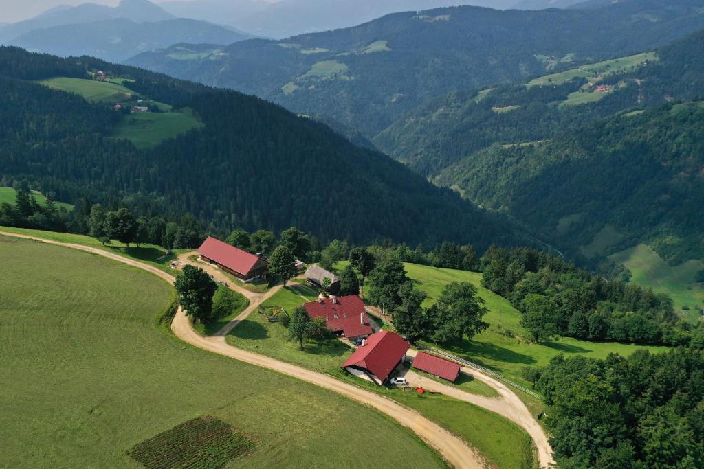einen Luftblick auf einen Bauernhof in den Bergen in der Unterkunft Farmstay&Glamping Visočnik in Ljubno