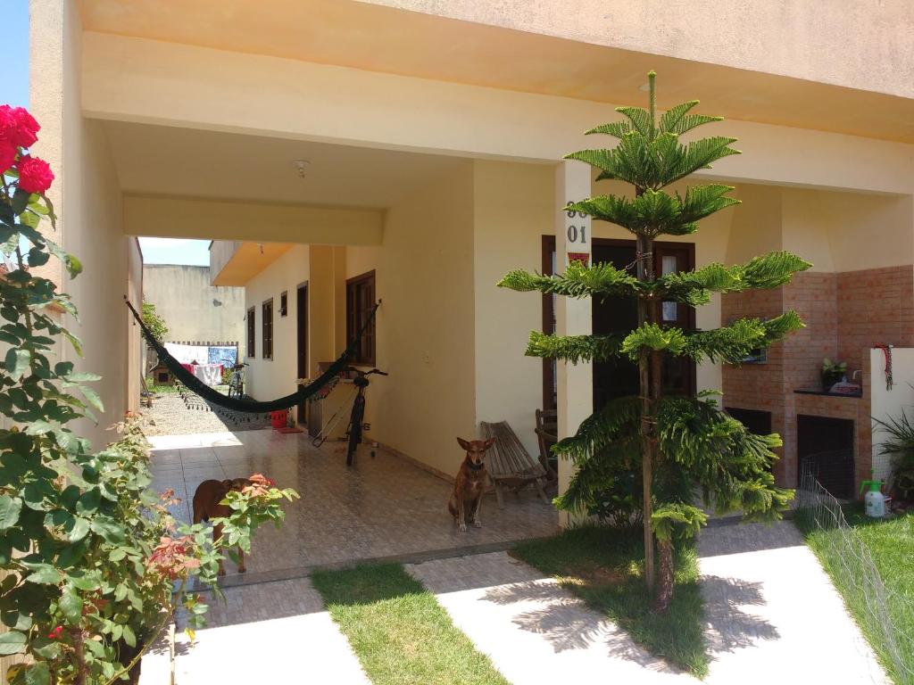 a dog standing in the courtyard of a house at Um quarto em casa agradável in Perequê