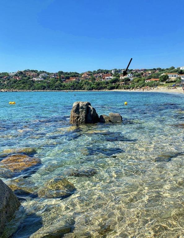 APPARTAMENTI GAIMARO' a 50 m dalla spiaggia - Apartment Mit Gartenblick
