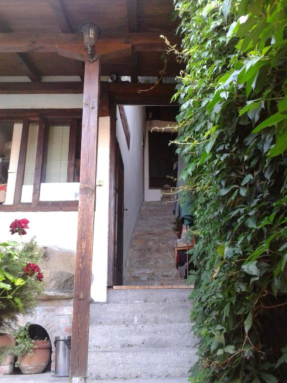 Zahrada ubytování Hostel Pashov
