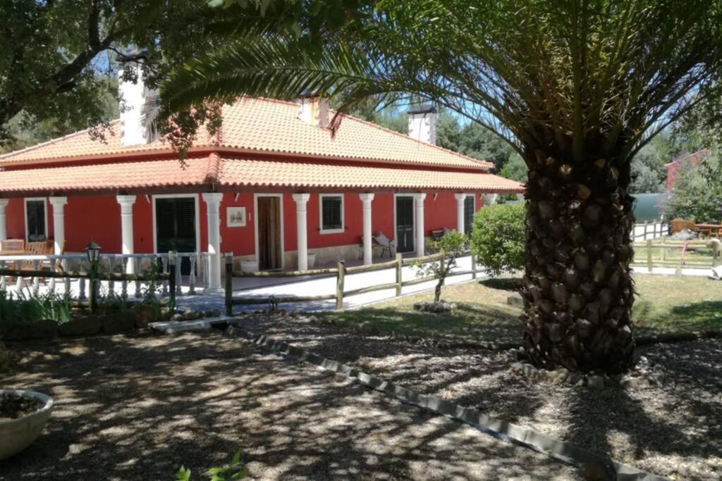ein rotes Haus mit einer Palme davor in der Unterkunft Quinta do Sobreiro, 4 bedroom Modernised Farmhouse in Tomar