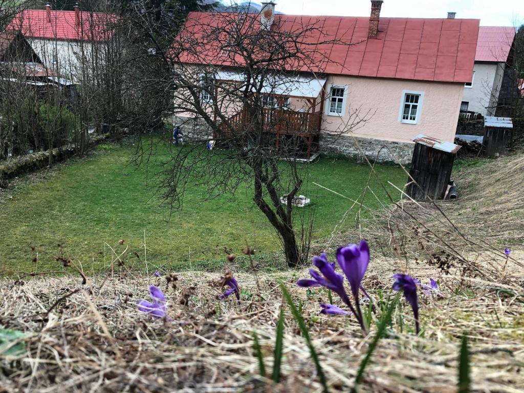 Zahrada ubytování Chalupa u Jakuba