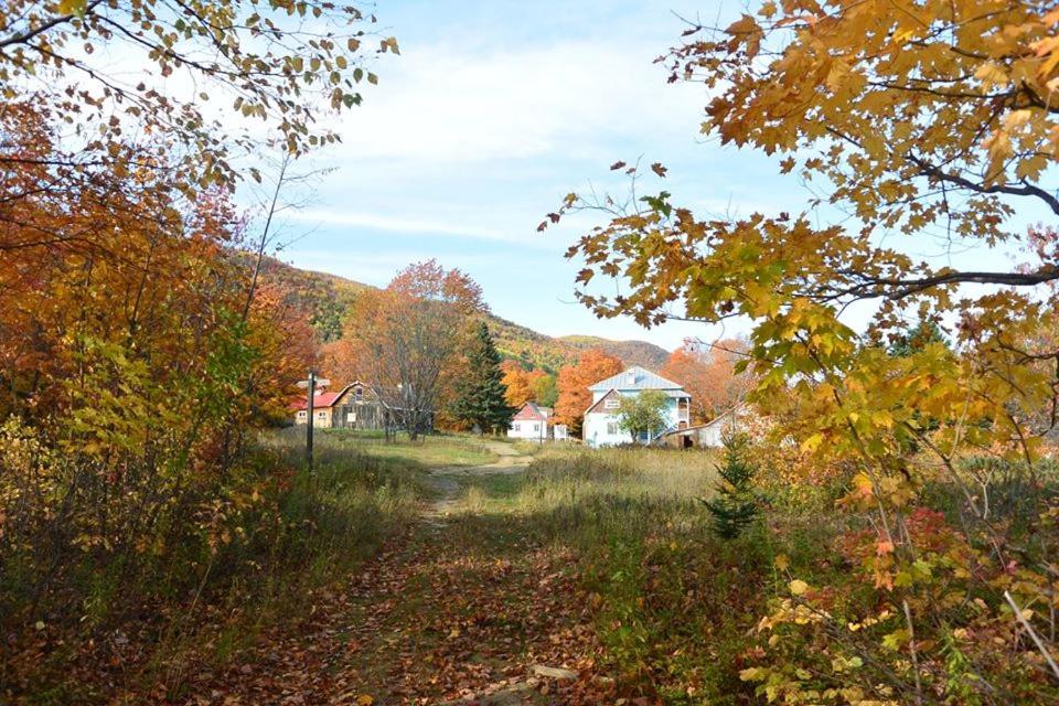 a view of a field in the fall at Auberge de jeunesse du Domaine à Liguori in Petite-Rivière-Saint-François