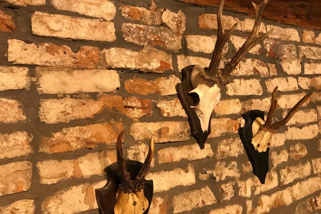 Fotografie z fotogalerie ubytování Historisches Tagelöhnerhaus v destinaci Geisingen