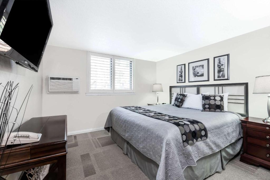 Super 8 by Wyndham Deadwood Black Hills Area - King Room - Non Fumatori