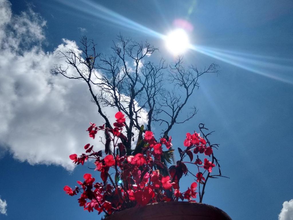 Foto de la galería de Hospedaje Santaelena -chalets de montaña- en Santa Elena