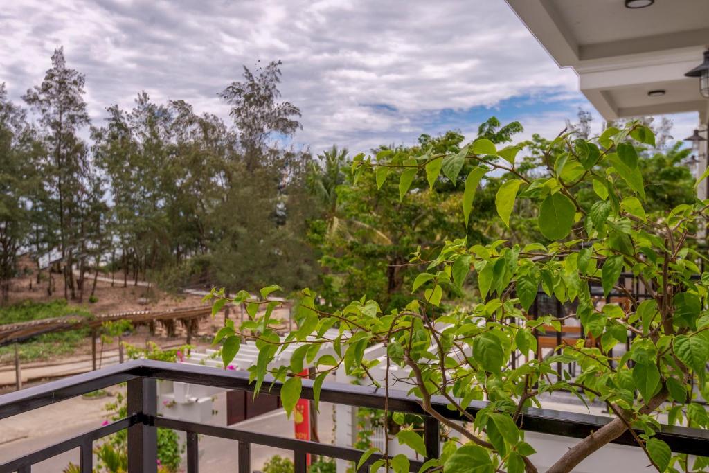 Zahrada ubytování Santa Sea Villa