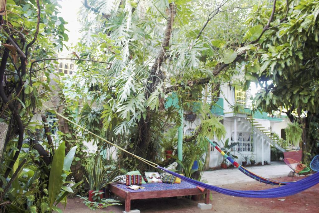 a hammock in the middle of a garden at Casa Santaella in Puerto Escondido