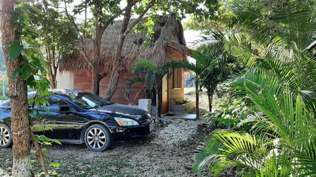 Zahrada ubytování Cabanas chaac calakmul