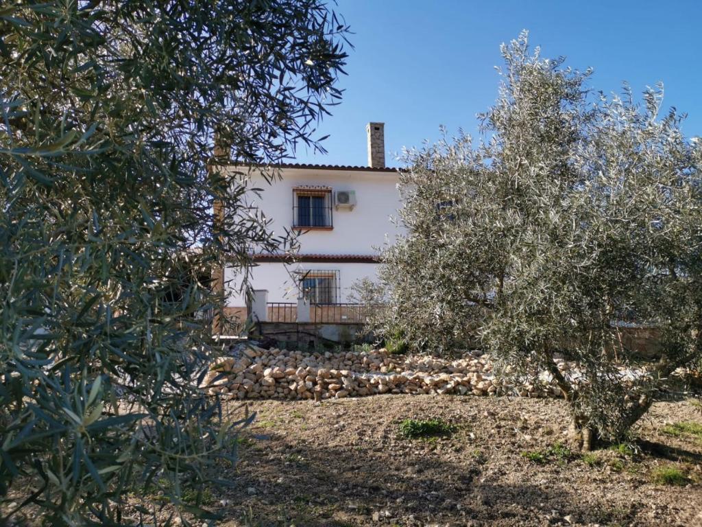 The Villa at Casa Karma (Spanje Málaga) - Booking.com