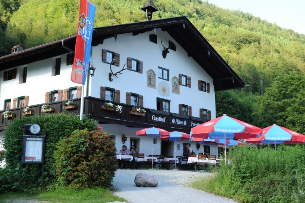 Příroda nedaleko penzionu – hostince