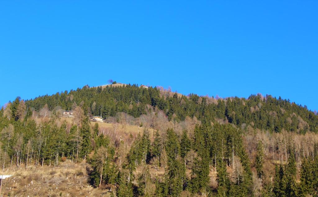 Príroda v okolí apartmánu