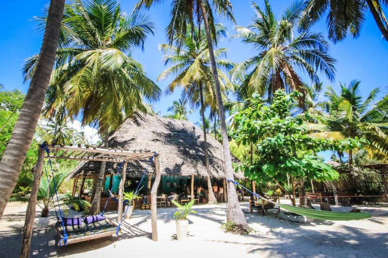 a swing and a hut on a beach with palm trees at Your Zanzibar Place in Paje