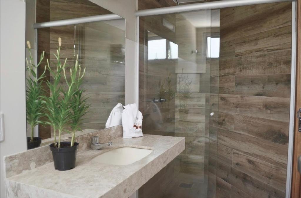 a bathroom with a sink and a shower at Pousada Cerrado in Goiânia