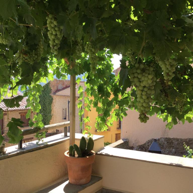 Zahrada ubytování Casa Lucas