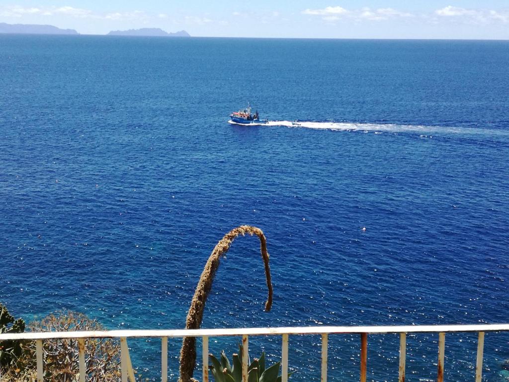 Naturlandskabet i nærheden af lejligheden