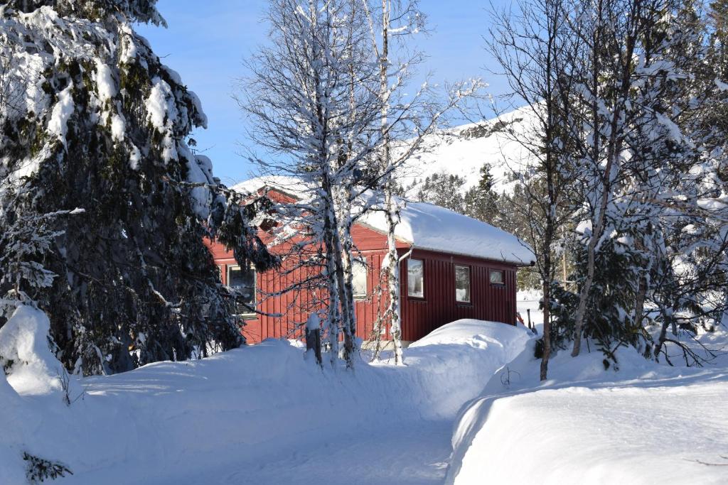 Skeikampen Booking - Maison De Trois Chambres
