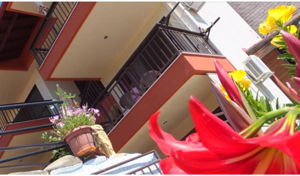 Gallery image of Villa Athina Gia in Sarti
